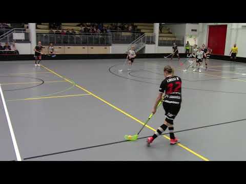 SB-PRO - TPS -maalikooste 28.3.2018