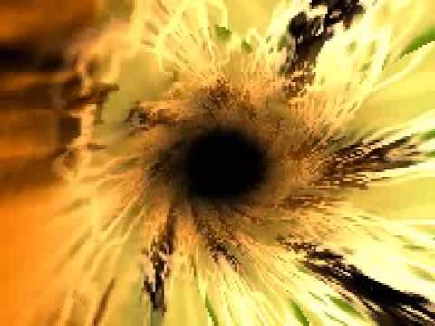 distortion orchestra - space echo