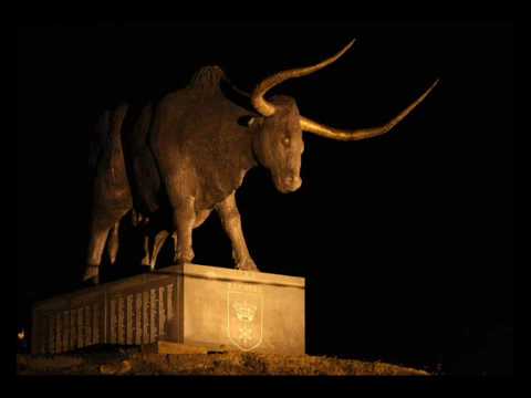 Stupid F, Hash, Deep Possah & Viivu - H.I.V.