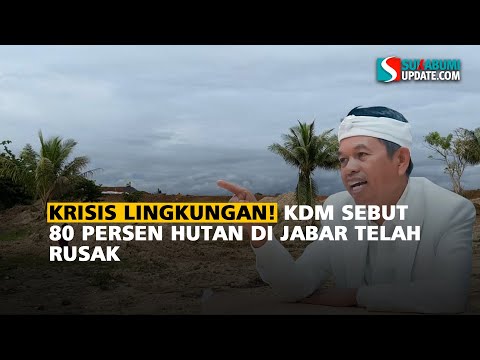 Krisis Lingkungan! KDM Sebut 80 Persen Hutan di Jabar Telah Rusak