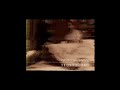 The Fourth Kind Alien Contact Scenes