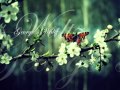 Shigeru Umebayashi ~ George's Waltz [1 ...