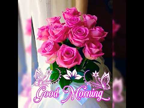 Good Morning Wishes 🌹⚘️🌸💐🌺⚘️#goodmorning #morning #shorts #naturesoultune #relaxingmusic #wishes