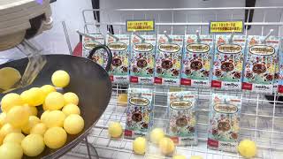 シャイニースターを目指してたこ焼きUFOキャッチャー2/3