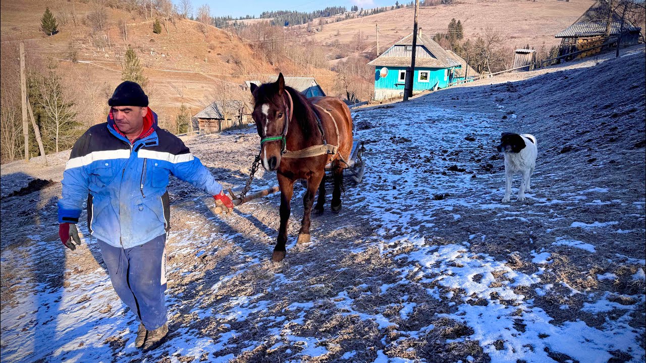 The father of a large family is engaged in farming. Village and Winter