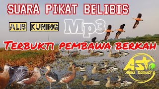 Download lagu SUARA PIKAT❗BELIBIS ALIS KUNING JITU DAN TERBUKTI🔥🔥 mp3