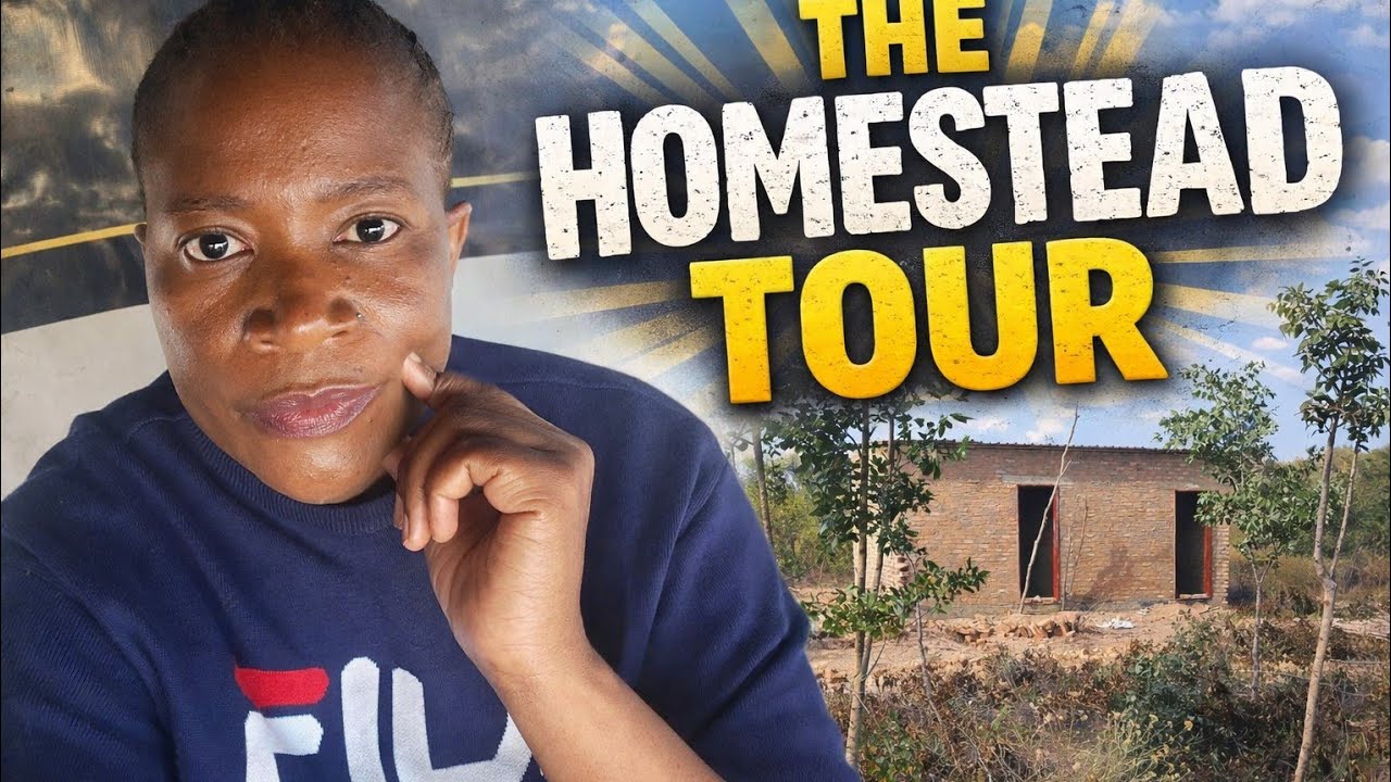 UK to Zimbabwe,  The Return:  Tour of  the homestead.