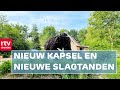 Mammoet Bertus uit Eext weer geknipt, geschoren en knuffelbaar | RTV Drenthe