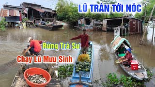 NƯỚC LŨ THƯỢNG NGUỒN DÂNG CAO NGẬP TỚI NÓC - MƯU SINH CHẠY LŨ THEO CON CÁ, NGHỀ DỚN ĐẤT RỪNG TRÀ SƯ