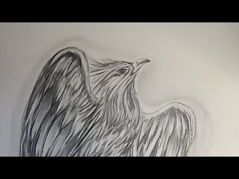 PHOENIX RISE DRAWING TUTORIAL