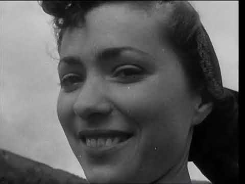 Celebrating 60 Years