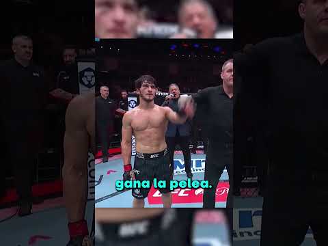 ASÍ PUEDES GANAR CUALQUIER APUESTA DE PELEAS!! 😯