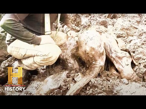 The UnBelievable: 30,000-Year-Old Woolly Mammoth Found in Canada (Season 1)