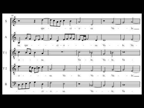 Gesualdo: Ave regina coelorum - Vox Luminis