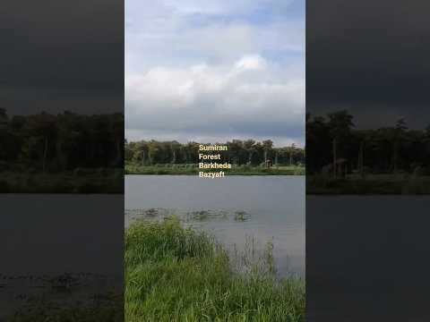 Sumiran Van Barkheda Bazyaft for trekking #travel