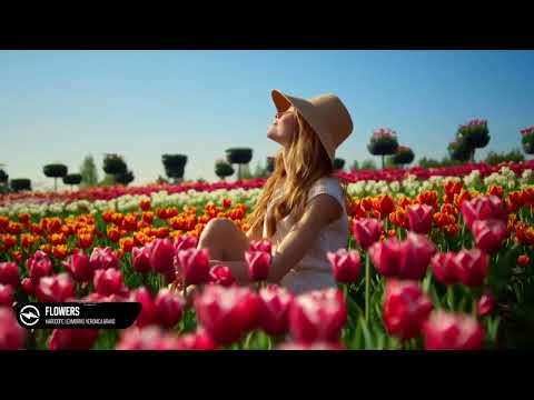 Harddope, LexMorris, Veronica Bravo - Flowers (Official Audio)