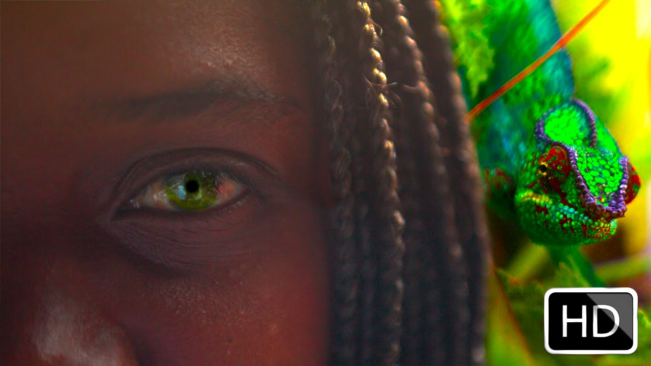 Cliquer pour lancer la vidéo