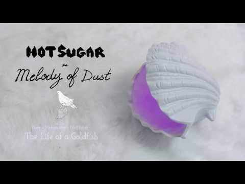 Video thumbnail for The Life of a Goldfish