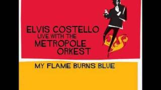 Elvis Costello Hora Decubitus