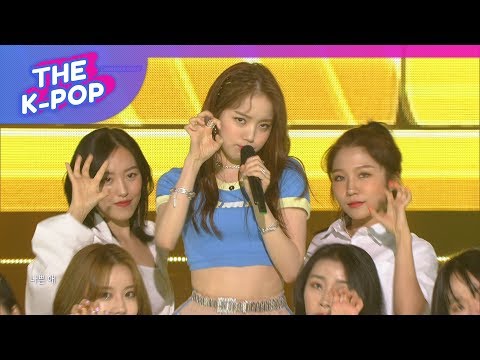 Rothy, BEE [THE SHOW 190604]