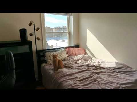 4808-12 N. Paulina - Video 6 of 6