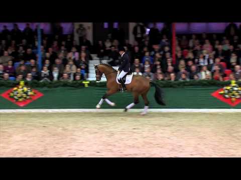 Dressurleistungszentrum Lodbergen First Ampere 2014