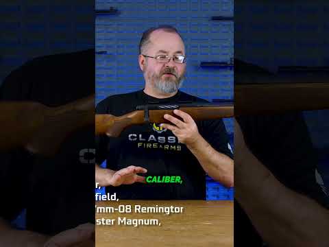 Specs of Winchester 101