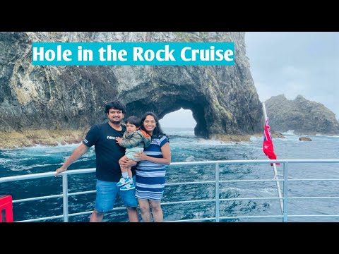 Things to do in Paihia | Hole in the Rock | Dolphin Cruise|Boom Netting|New Zealand | Bay of Islands