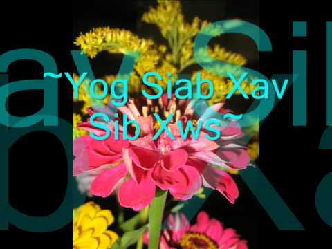 Yog siab Xav Sib Xws.wmv