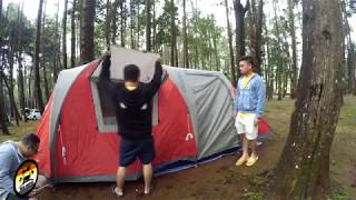 Bear Camping #กางเต้นท์#Coleman Waterfall Tent 5P