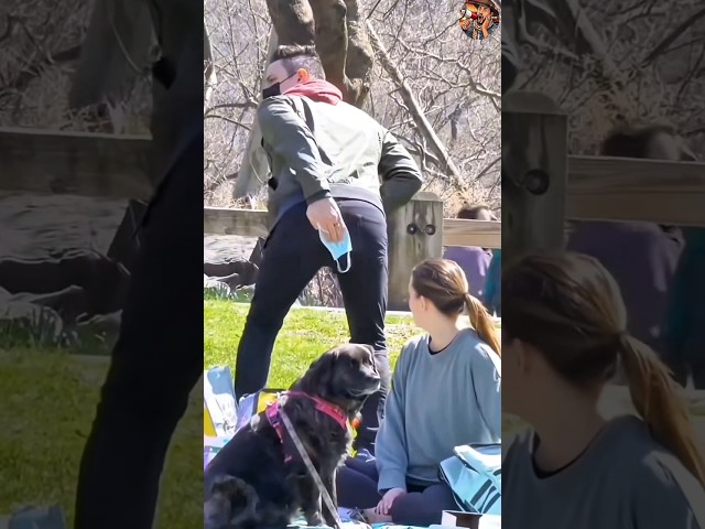 Vídeo relacionado con SHENGSEN Novedad Squeeze Pooter Fart Machine Funny Le Tooter Broma Pedos Hacer Ruido