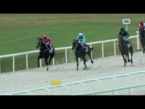 2017.10.08. 6. futam - SILENT BLESSING HENDIKEP (I.o.) (szintetikus pálya)