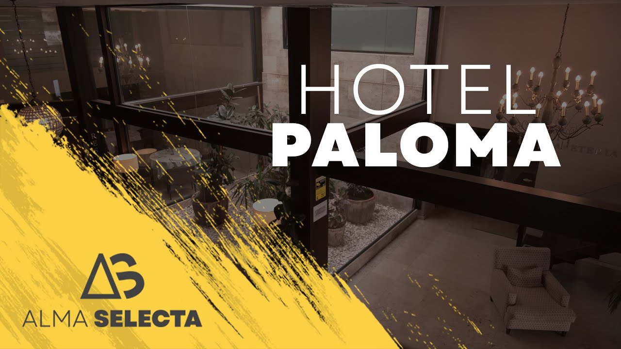 Video - HOTEL PALOMA