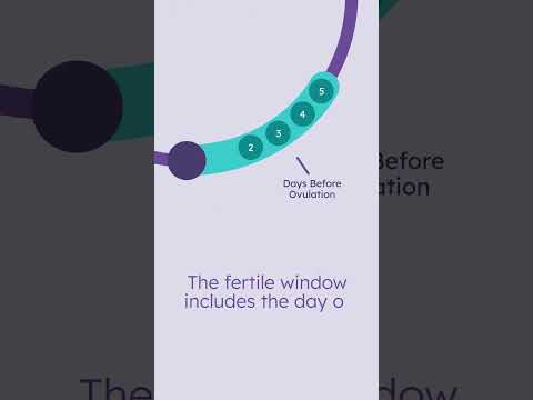 The Fertile Window: Explained
