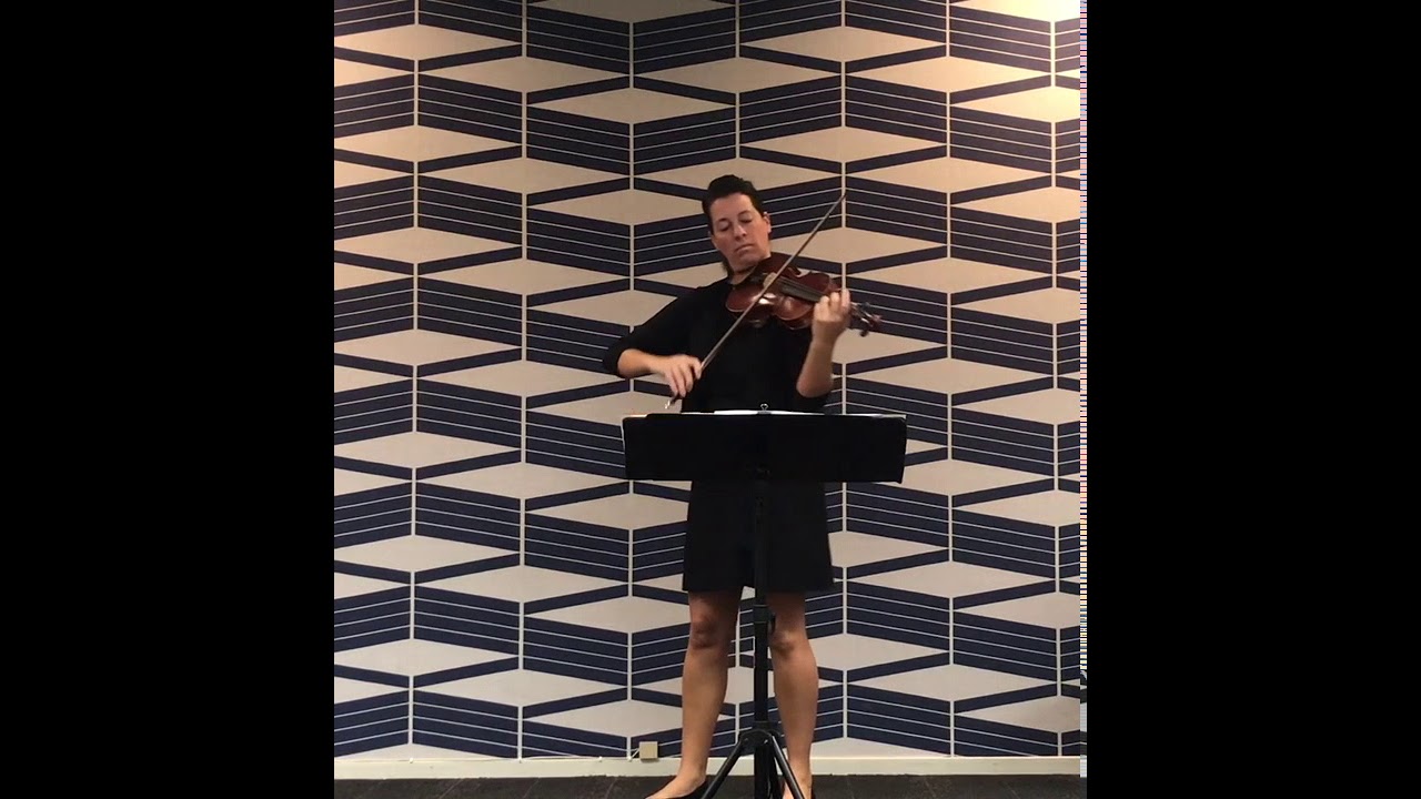 Promotional video thumbnail 5 for Brooksley Bishop Violinist