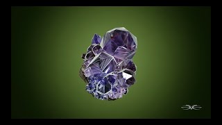 Go On Music Video