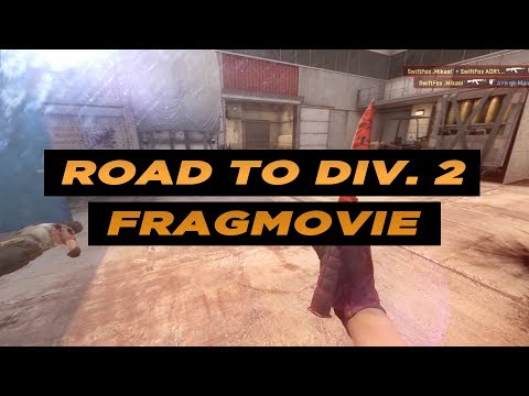 SwiftFox "Road to Div. 2" Fragmovie by Dyz