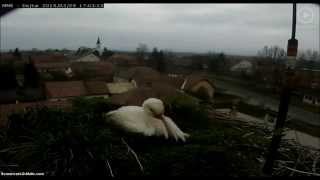 preview picture of video 'Dejtár, Hungary, 29 March 2015, 17:59. Hallo, Dad !'