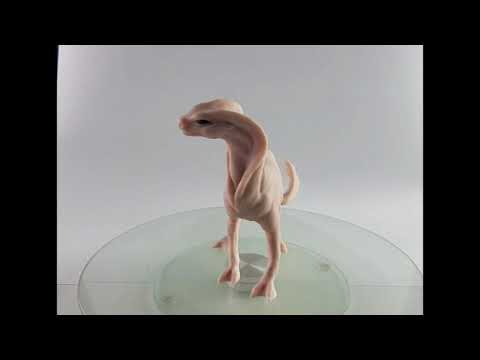 Sea Creature Concept Sculpt