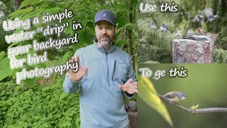 Simple Backyard Water Drip to Attract Birds for Photography