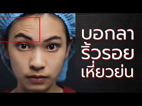 โบท็อก ปีกจมูก