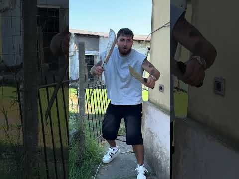 Pecora vs albanese