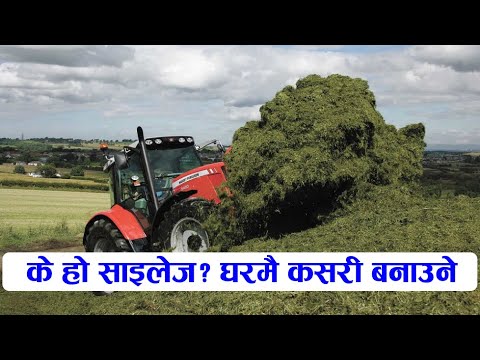 नेपालमा एउटै Farm मा बन्छ १३ लाख किलो साइलेज! के हो साइलेज? Video हेर्नूहोस। Silage in Nepal