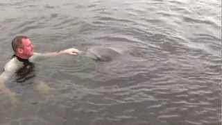 preview picture of video 'Rod & Incredible Wild Dolphin at Sussex Inlet'
