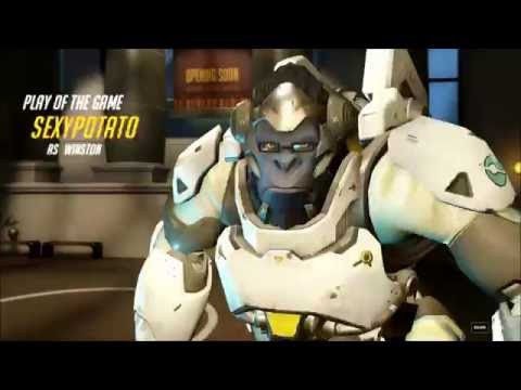 Dicks out for Harambe!