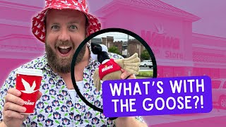 What's With The Goose! 🪿🤷‍♂️ Everything you need to know about Wawa