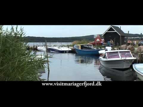 Lystfiskeri ved Mariager Fjord Seatrout Mariager Fjord