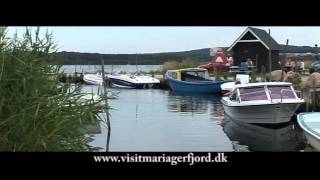 preview picture of video 'Lystfiskeri ved Mariager Fjord | Seatrout Mariager Fjord'