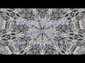 Front Street By Will Wood And The Tapeworms Lyrics
