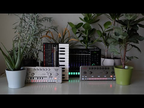 Snot Monkey - Acid 069 (Cyclone Analogic TT-303 TT-78, Roland TR-8S JU-06A (Melancholic Acid Ballad)